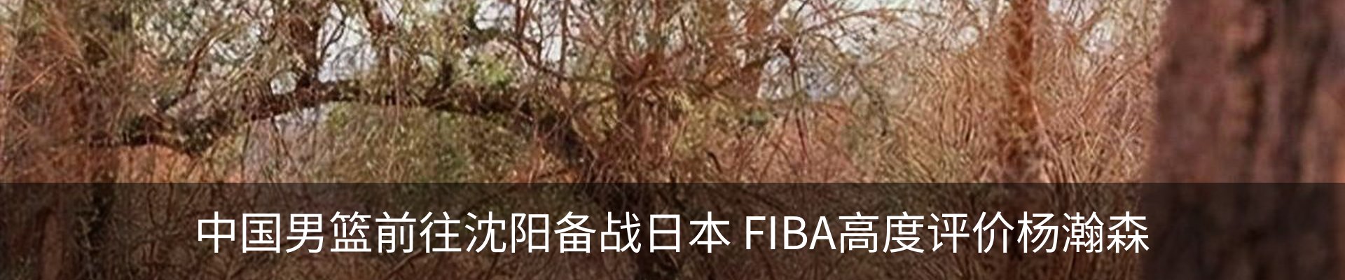 行业资讯